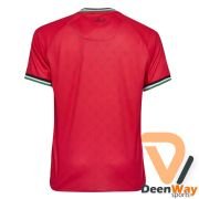 Men's Palestine Soccer Jersey​
